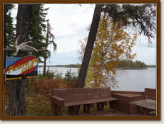 Blackstone lake dock